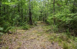 4848 Woodville Road, Awendaw, SC 29429