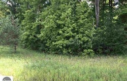LOT 4 ERIC DRIVE, KALKASKA, MI 49646