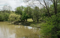 00000 Lenoxburg Road, Falmouth, KY 41040