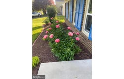 15204 WATERGATE RD, SILVER SPRING, MD 20905