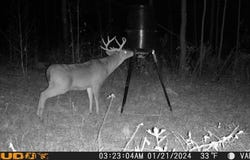 17.5ac County Rd 67, Clopton, AL 36317