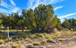 N Dallas Drive lot: 1060, Seligman, AZ 86337