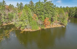 1543- 4 DAM RD, Three Lakes, WI 54562