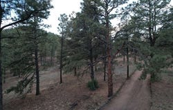 A015 County Road, Mora, NM 87732