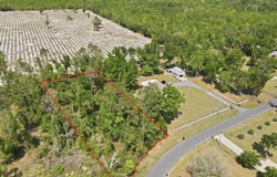 503 Judson Drive, Perry, FL 32348