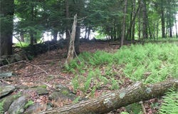 (17.-1-10.7&10.9)  Horseshoe Lake Rd, Bethel, NY 12720
