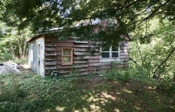 3905 Adams Road, Ravenna, MI 49451