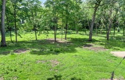 24695 Glen Road, Shorewood, MN 55331