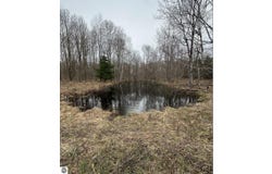00 W Deborah Ann Trail, Empire, MI 49630