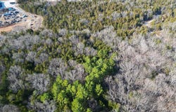 Lot 3 Parkview Dr., Blackwell, MO 63626
