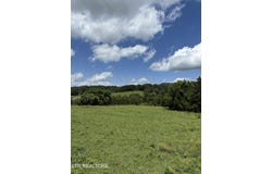 0 Newman Lane, Blaine, TN 37709