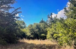 Tbd County Road 411 Road, Lexington, TX 78947