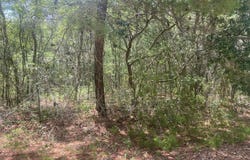 6 LOUISE Avenue, Interlachen, FL 32148