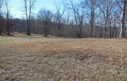 140 Quail Hollow Cove, Spring City, TN 37381