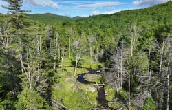 Map 10 Lot 1 Dow Brook Road, Peru, ME 04290