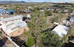 705 Bard Avenue, Santa Clara, NM 88026