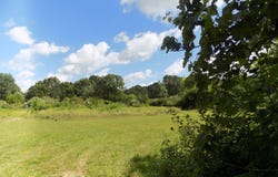 Mountain Road, Coloma, MI 49038