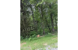 281 Ootsima Way, Loudon, TN 37774