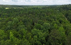 0 County Rd 17, Tuskegee, AL 36083