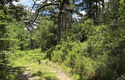 3100 N John Redditt, Lufkin, TX 75904