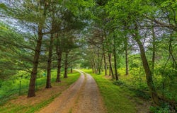 1237 Black Hollow Road, Peebles, OH 45660