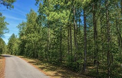 84 Grant 733, Sheridan, AR 72150