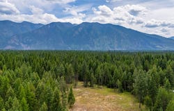 274 Mud Lake Road, Troy, MT 59935