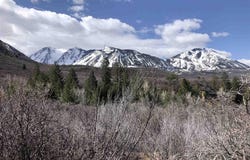 County Road 710, Paonia, CO 81428