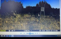 499 County Road 2410, Iredell, TX 76649