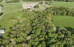 705 Webb Town Road, Tunnel Hill, IL 62972