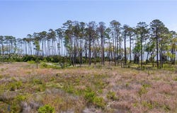 47 Beauregard Blvd, Daufuskie Island, SC 29915