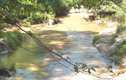 260 Kimes Cove, Sardis, MS 38666