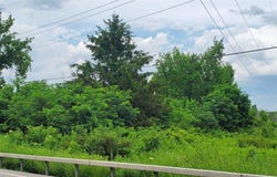 00 Herman Road, Camillus, NY 13031