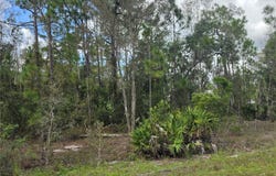 1012 KODIAK Avenue, LEHIGH ACRES, FL 33974