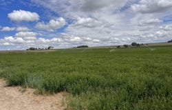Tbd Dixie Road, Parma, ID 83660