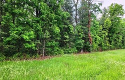 5acre Almy or Maple Hill Road, Howard City, MI 49329