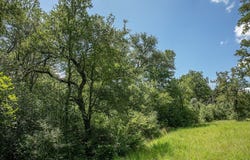 TBD Farm To Market 594, Burton, TX 77835