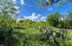 411 Front St lot: 3,5,, Menard, TX 76859