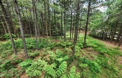 3965 Crockett Point, Jasper, TN 37347