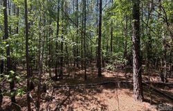 7 AC Terry Drive Highway, Union, SC 29379