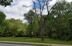 7911 RITCHIE HIGHWAY, GLEN BURNIE, MD 21061