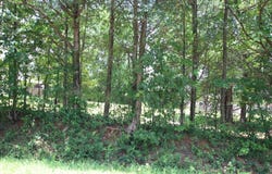 Lot 19 Round Rock Road, Dover, AR 72837