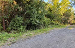 PHILADELPHIA AVENUE, DE LEON SPRINGS, FL 32130