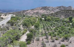 59 County Road 1105, Embudo, NM 87531