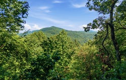 445 Orchid Trail, Clayton, GA 30525
