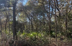 113 DOBY Drive, Florahome, FL 32140