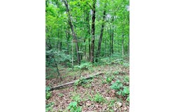 0 County Road 450, Poplar Bluff, MO 63901