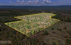 307 Highway, AR 72827