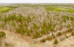 CR 2307 BEASLEY RD, Lone Star, TX 75668
