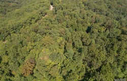 0 State Road RA, Piedmont, MO 63957